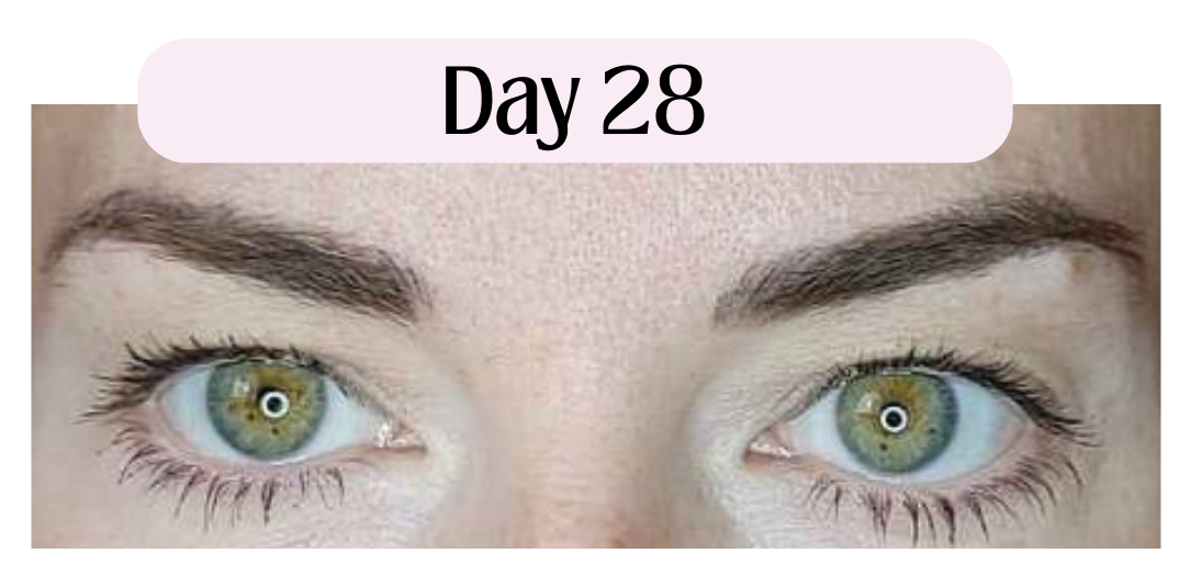 Image of permanent makeup tattoo service microbladed eyebrows showing what to expect during the healing process on day 28.  Eyebrow microblading after 28 days of the healing process day to day.